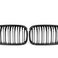 BMW F20 1 Series LCI Double Slat Pre-preg Carbon Fibre Front Grille 15-19-Carbon Factory